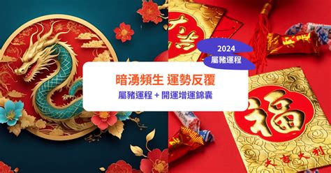 2024肖豬|【屬豬2024生肖運勢】暗湧頻生，運勢反覆｜屬豬運 